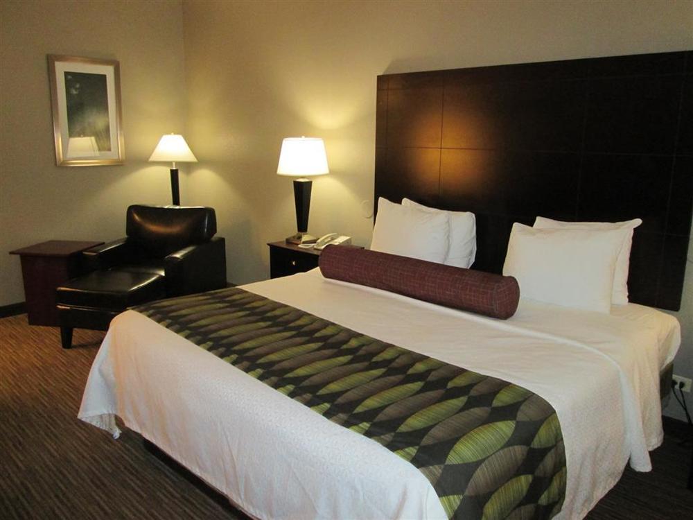 Best Western Plus O'Hare International South Hotel Franklin Park Pokój zdjęcie